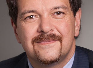 beruflicher werdegang